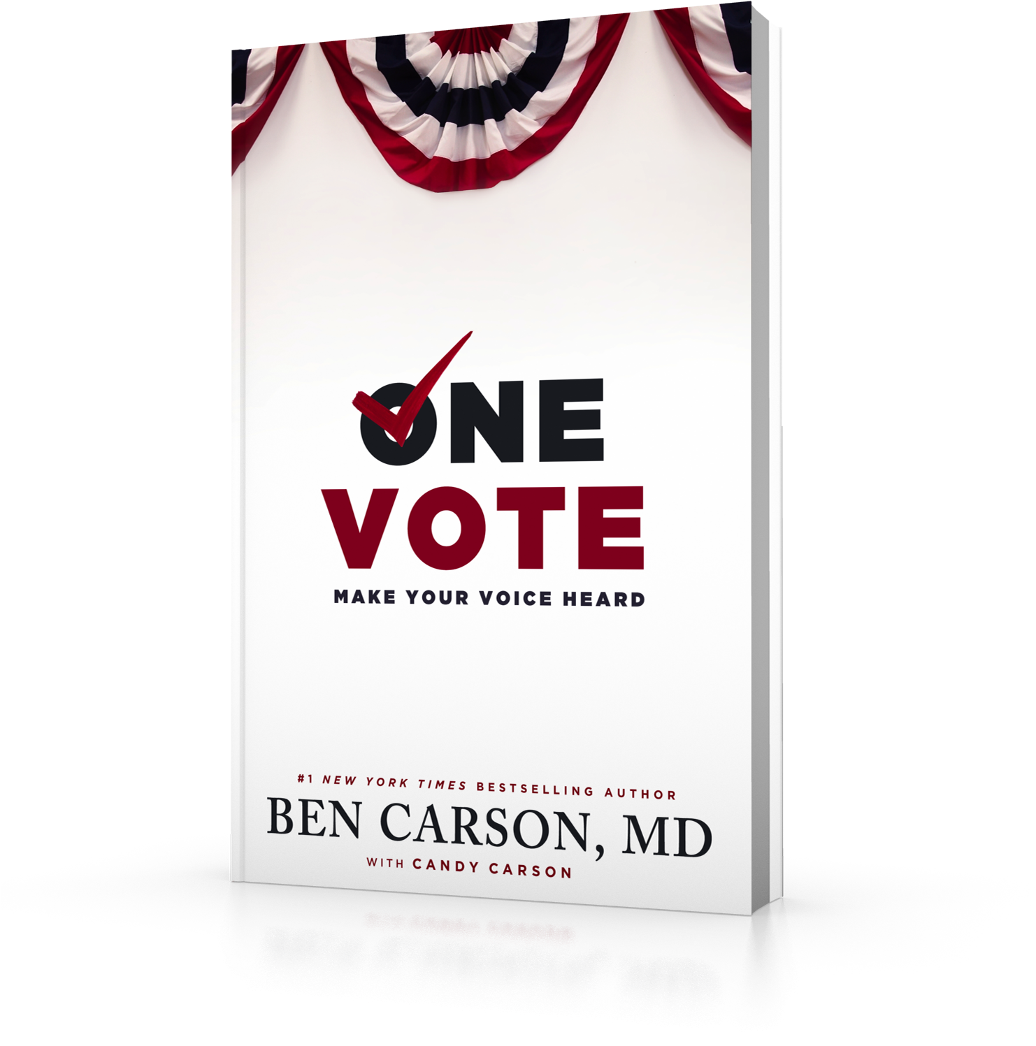 One Vote Book Cover PNG
