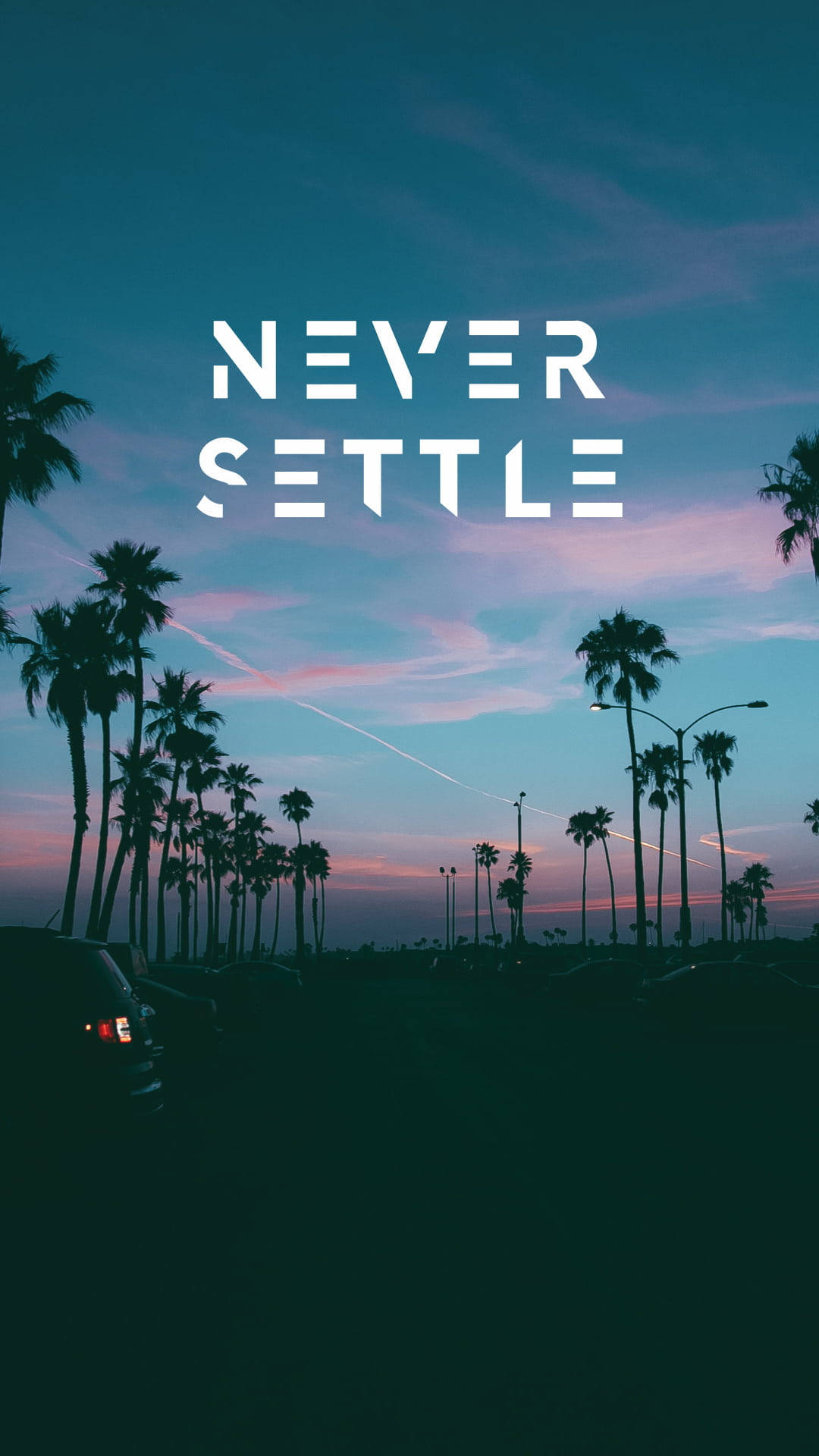 Oneplus Nord Never Settle Silhouette Palms Wallpaper