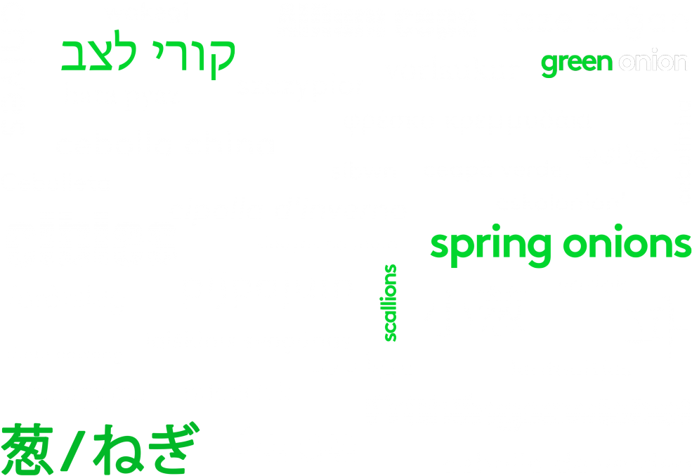 Onion Varieties Word Cloud PNG