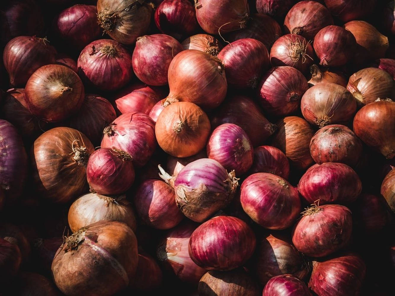 Onions Different Sizes And Colors Wallpaper
