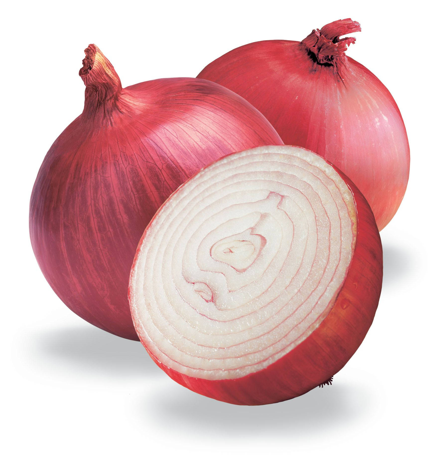Onions In A Row Ready To Eat Wallpaper