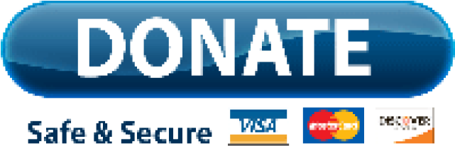 Online Donation Button Paypal Support PNG
