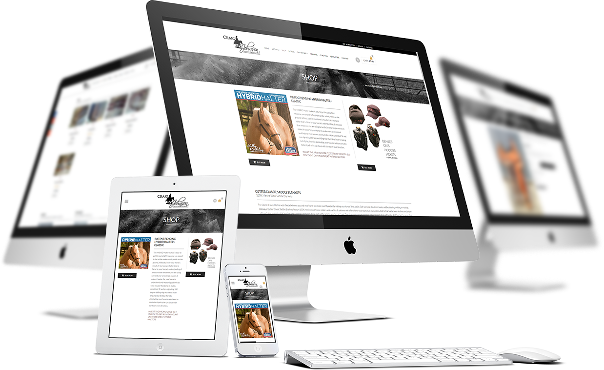 Online Store Responsive Design Mockup PNG