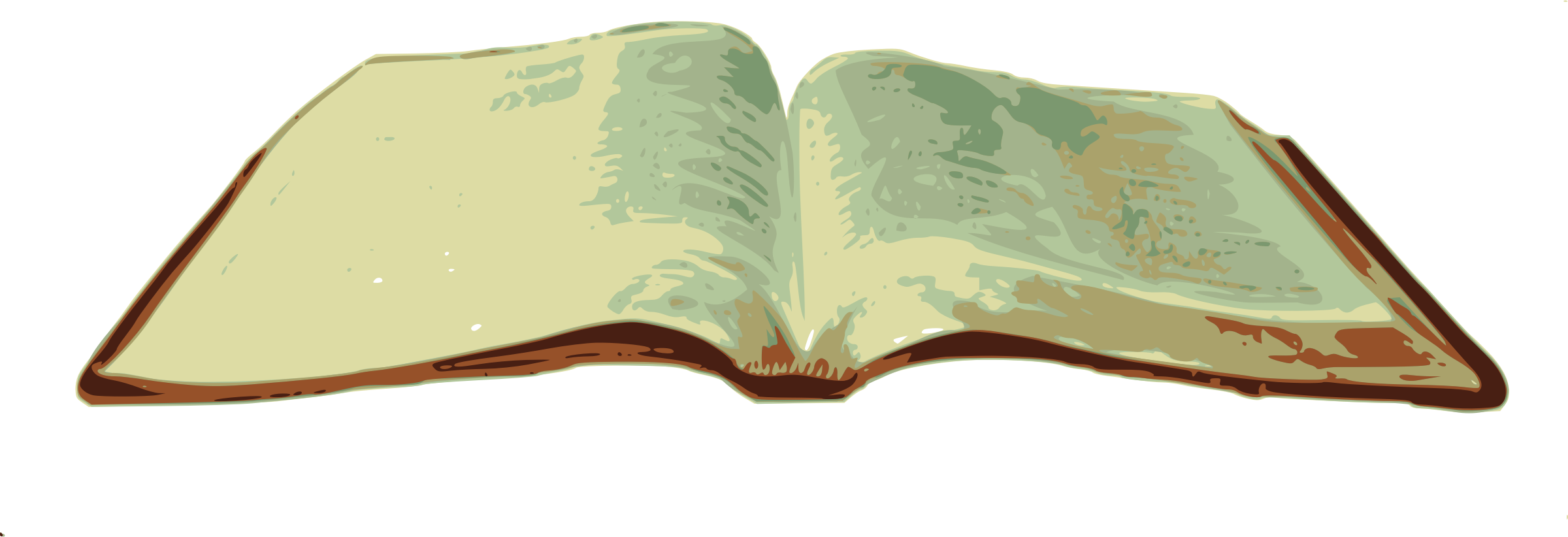 Open Bible Illustration PNG