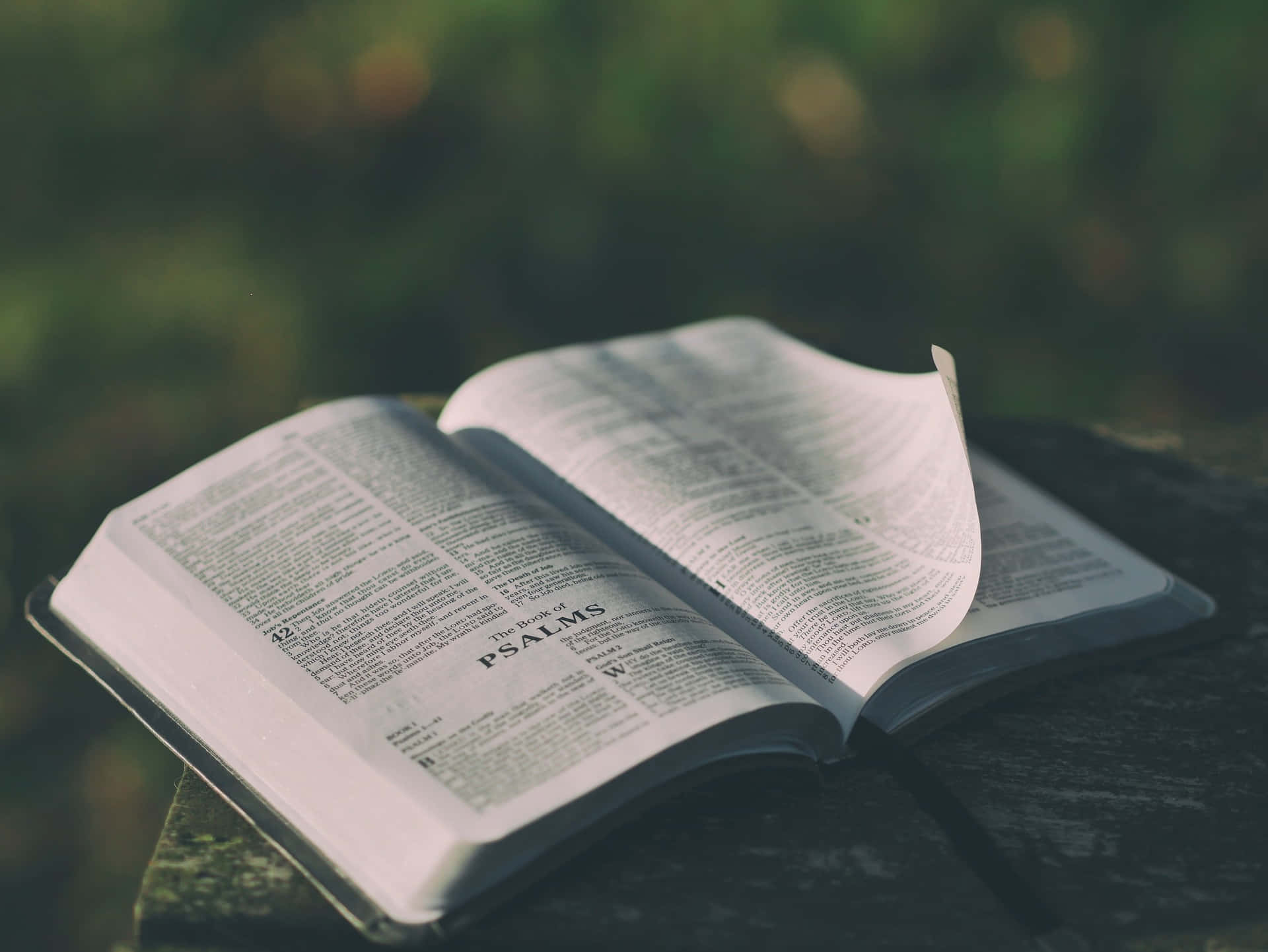 Bible Ouverte Sur Une Table En Bois Fond d'écran