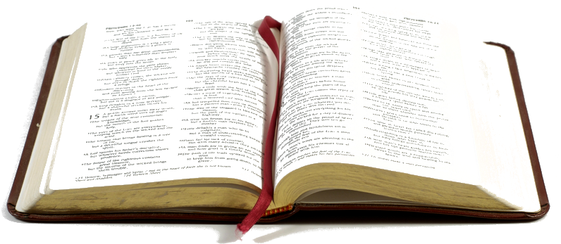 Open Biblewith Red Bookmark PNG