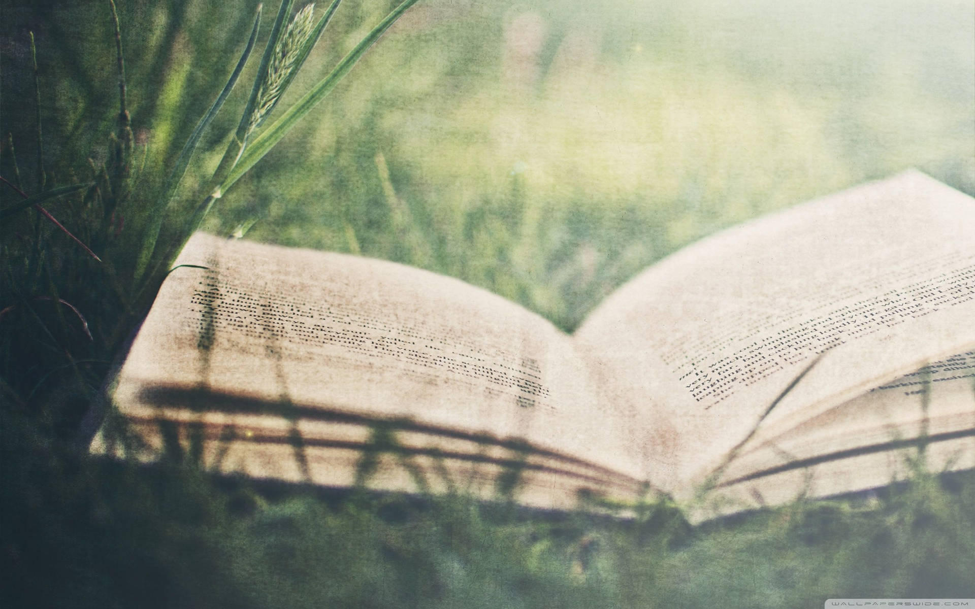 Open book laying on a green grass wallpaper