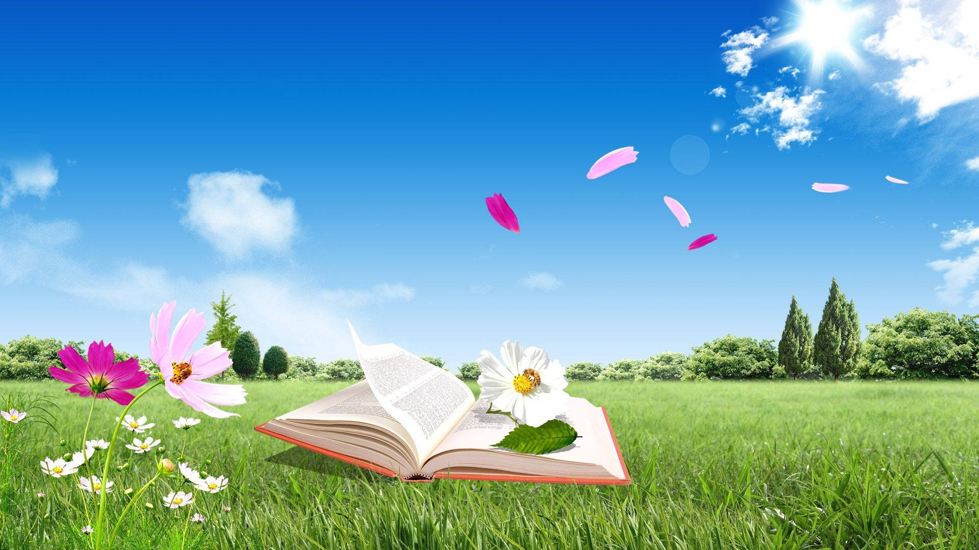 Open book outside on the grass gently blown by a breeze wallpaper