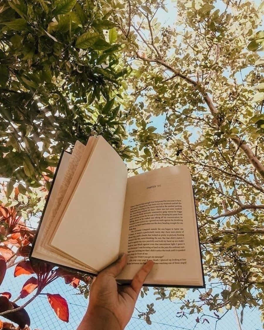 A Person Holding An Open Book In Front Of A Tree
