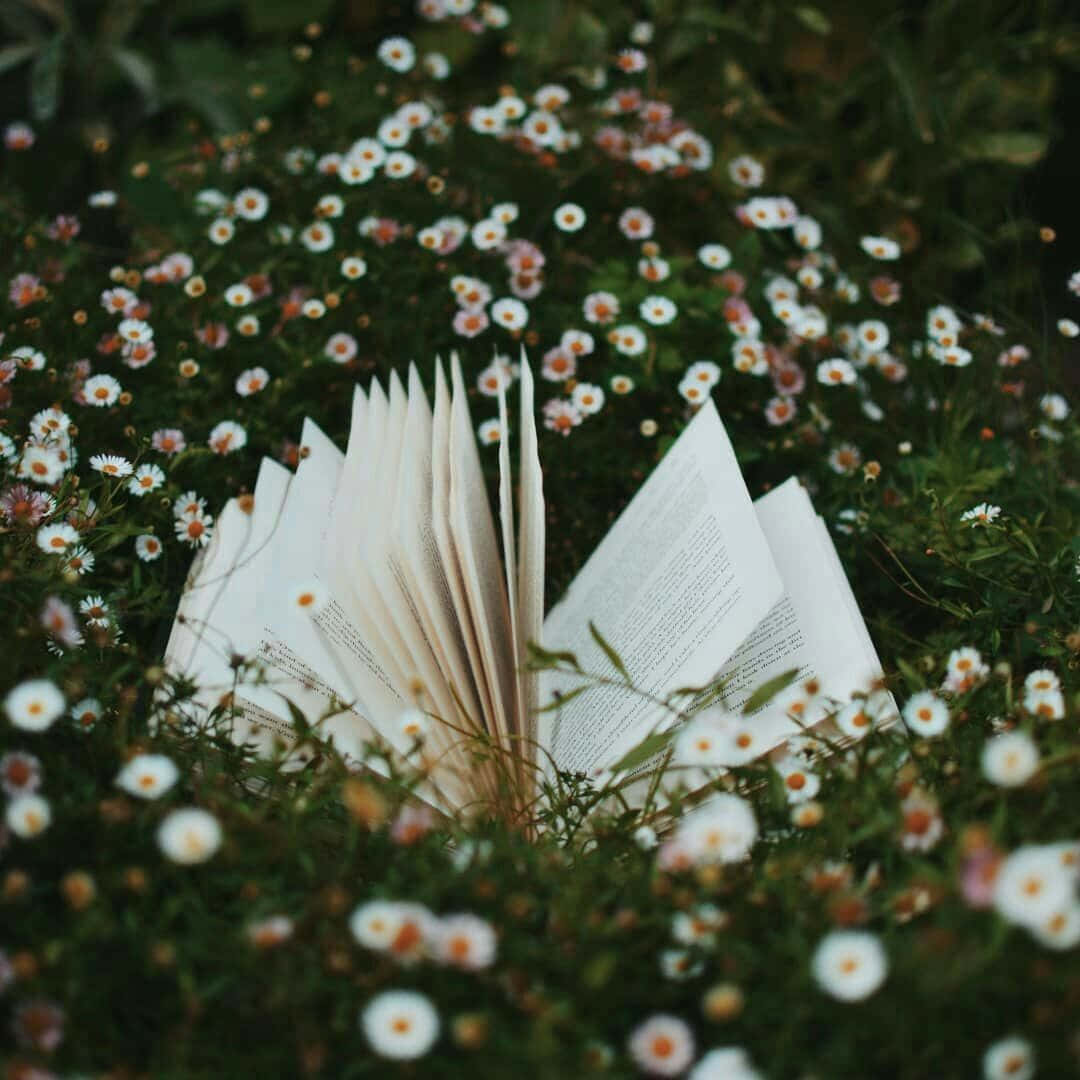 An Open Book Surrounded By Daisies
