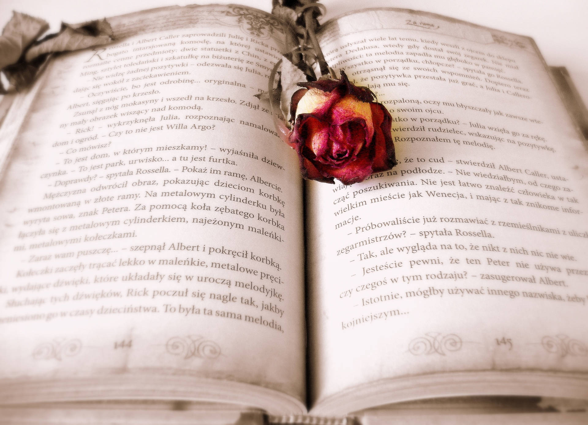 Open Book Red Rose Aesthetic Wallpaper