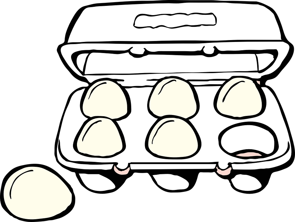 Open Egg Carton Illustration PNG