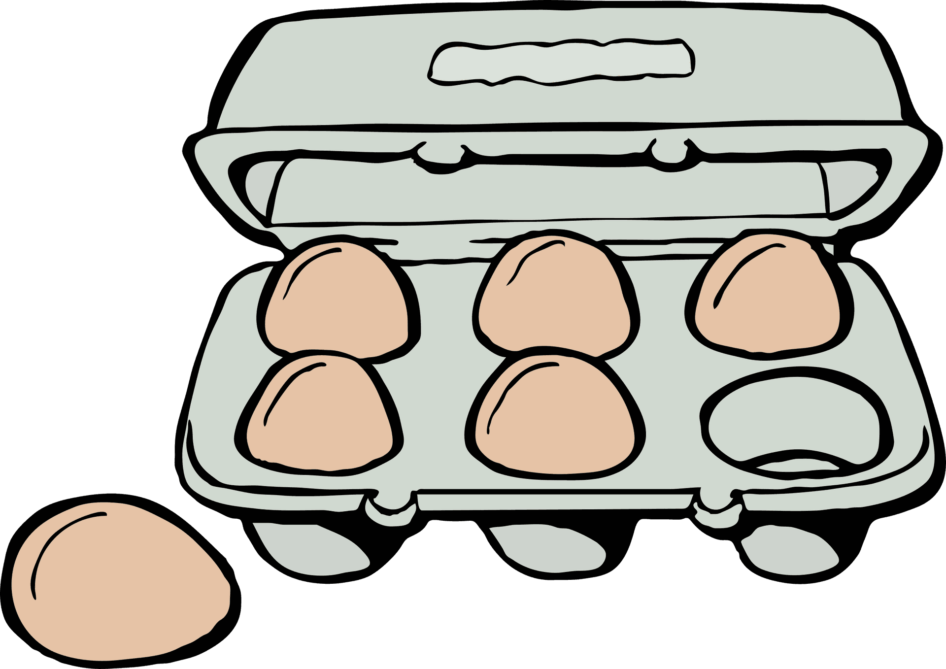 Open Egg Carton With One Egg Missing PNG