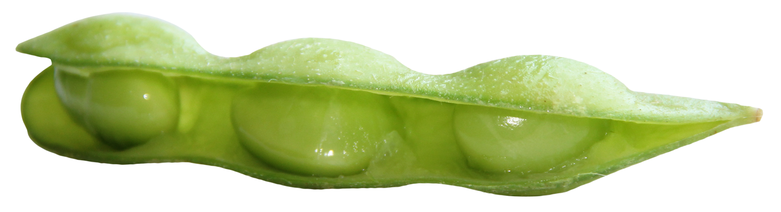 Open Green Pea Pod PNG