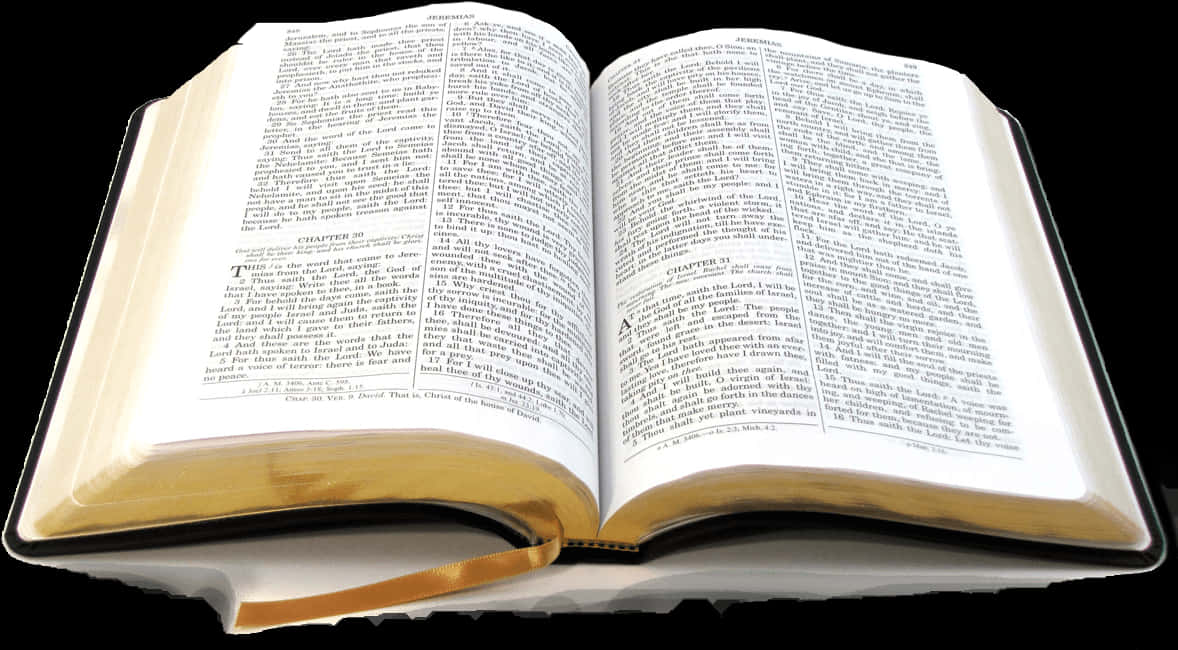 Open Holy Bible PNG