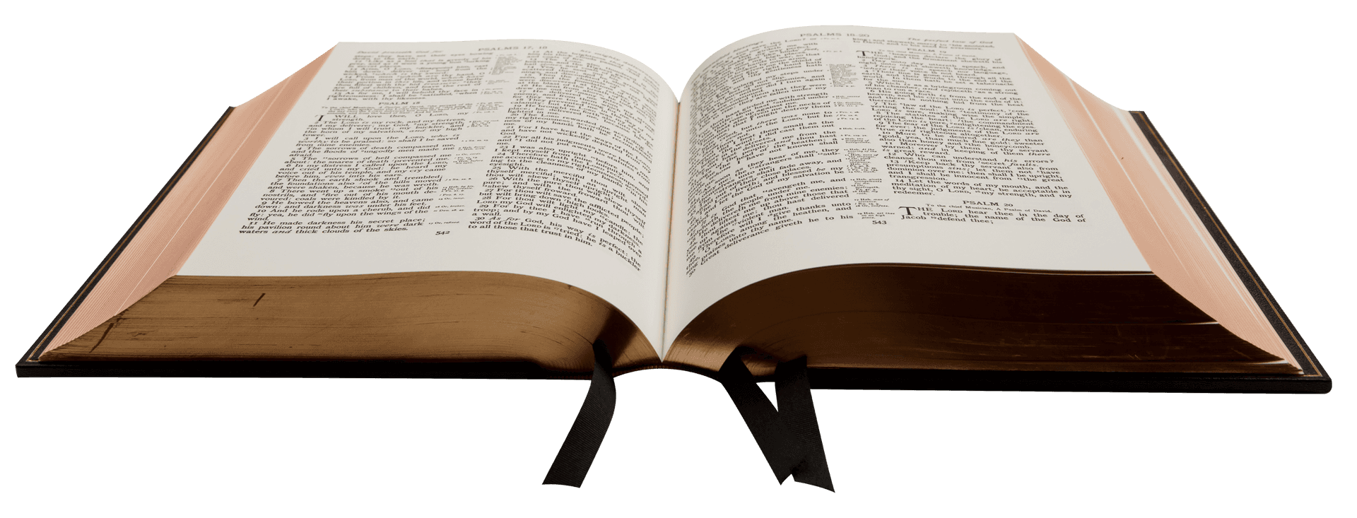 Open Holy Bible PNG