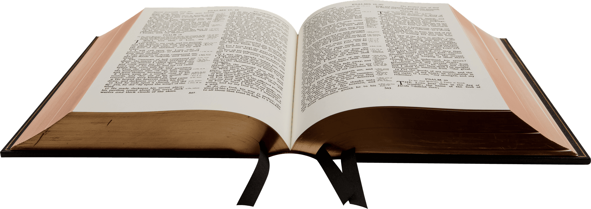 Open Holy Bible PNG