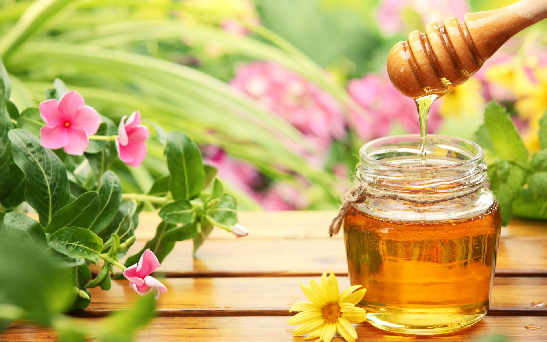Åbn honning krukke med dyppeske levetid Wallpaper