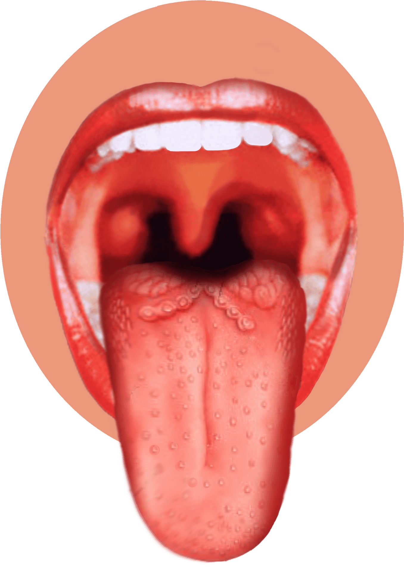 Open Mouthand Tongue View PNG