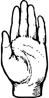 Open Palm Hand Silhouette PNG