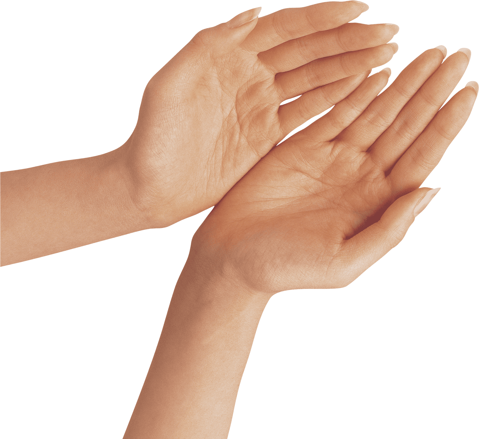 Open Palms Hand Gesture Clipart PNG