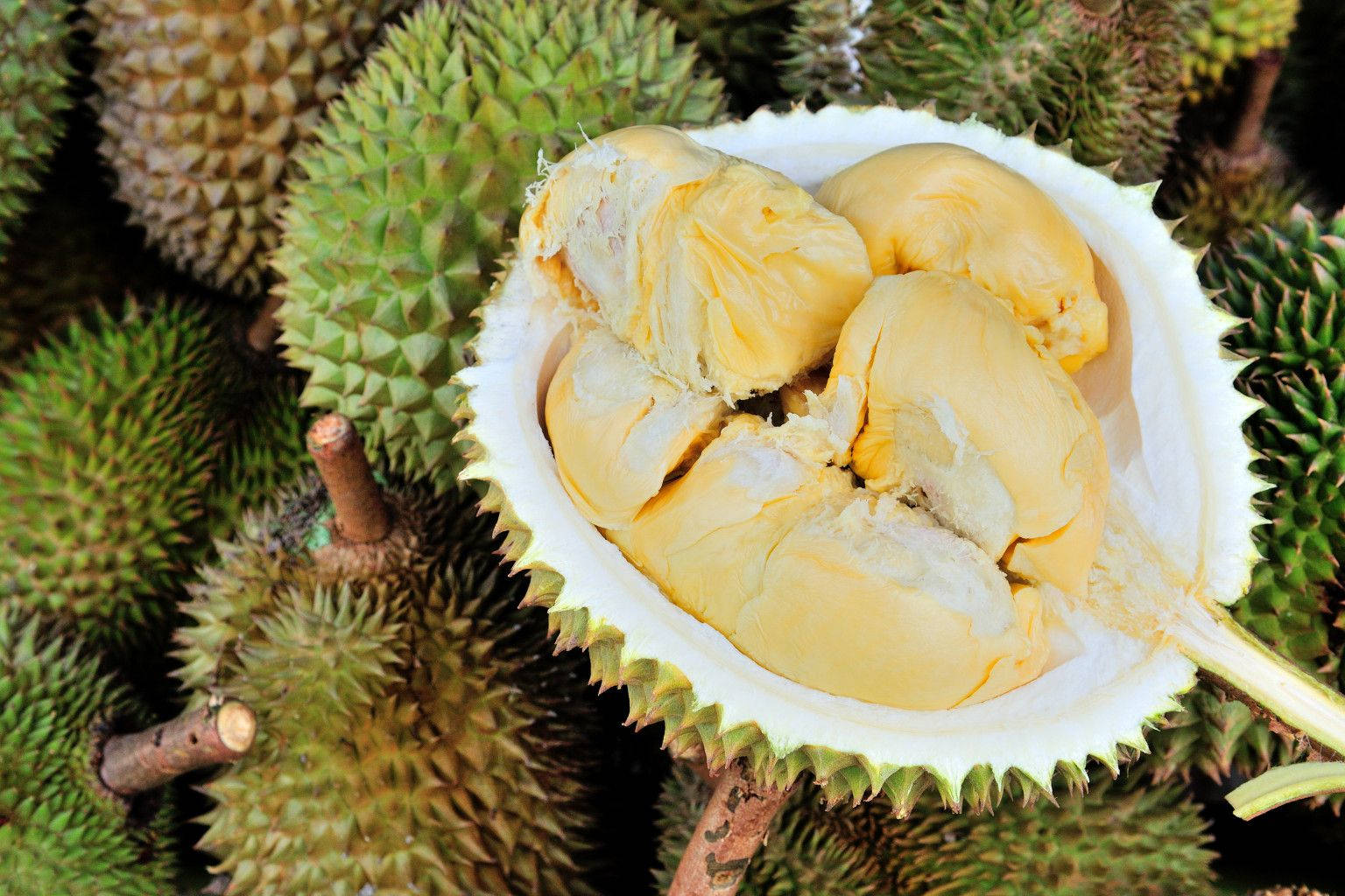 Delicious Duo - Opened and Unopened Durian Fruits Wallpaper