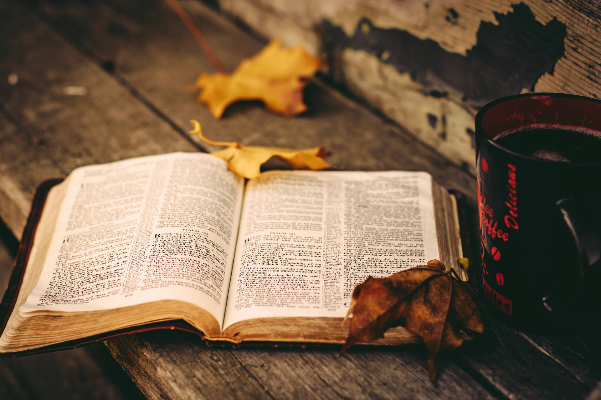 Opened Bible With Rustic Fall Leaves Wallpaper