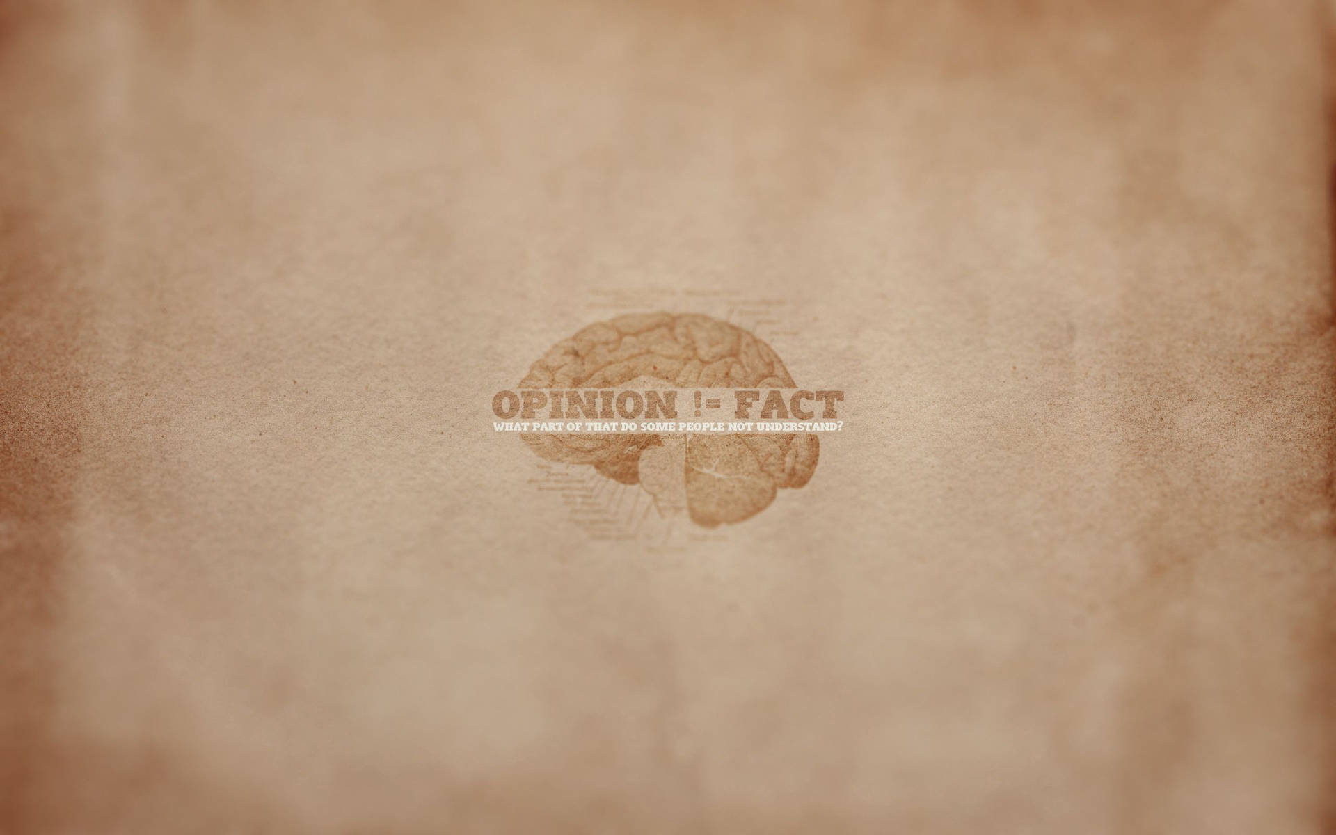 Conceptual Representation of Opinion vs Fact in the Cerebral World Wallpaper