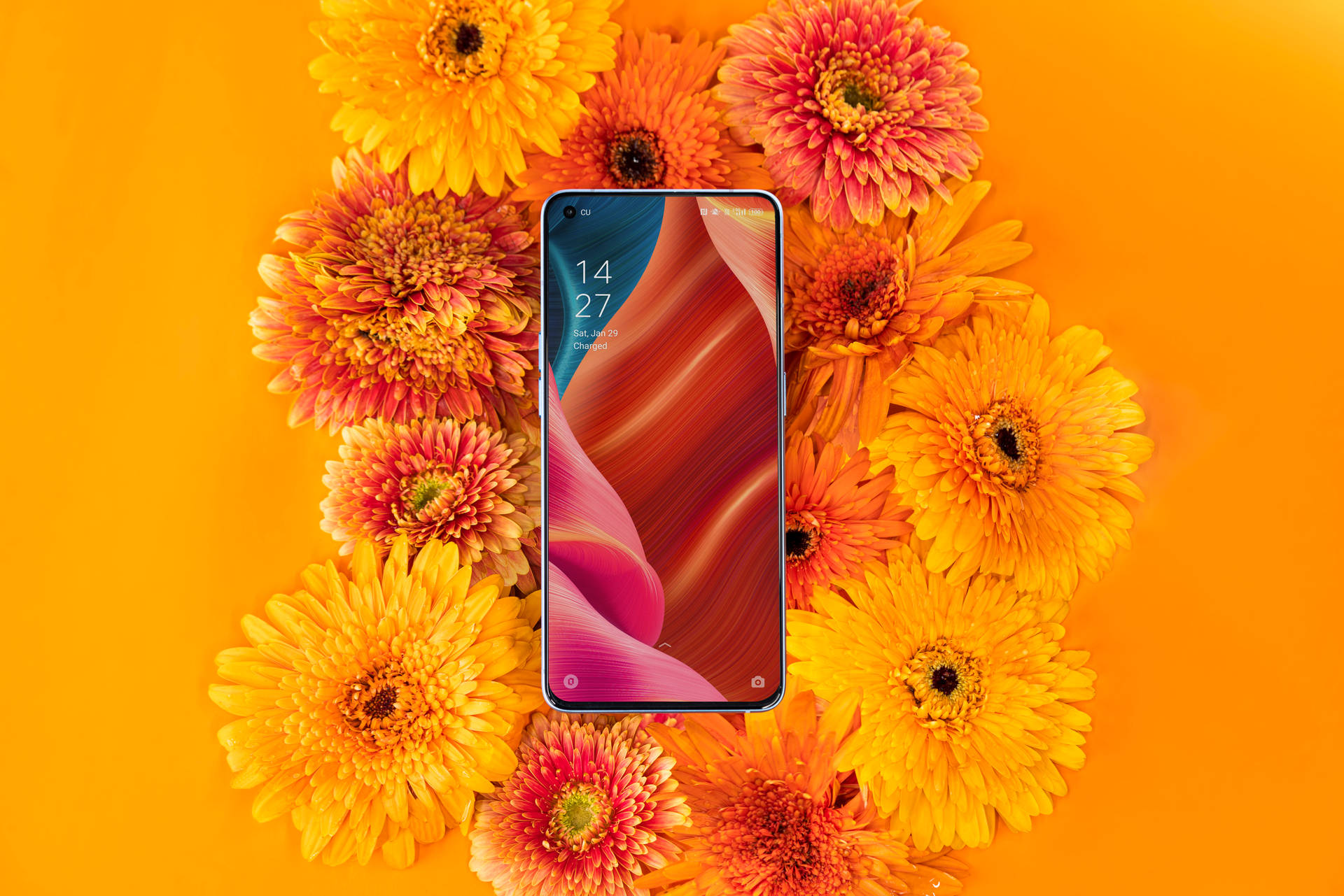Oppo Smartphone Og Blomstrende Flora Wallpaper