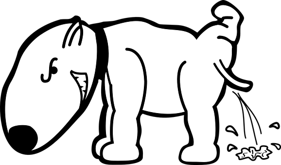 Optical Illusion Dog Or Elephant PNG