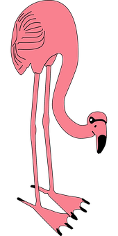 Optical Illusion Flamingo PNG