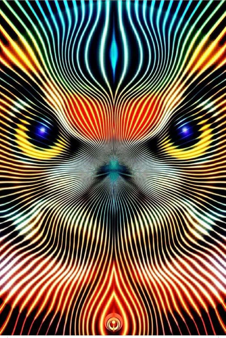 Owl Optical Illusion Picture 736 x 1101 Picture