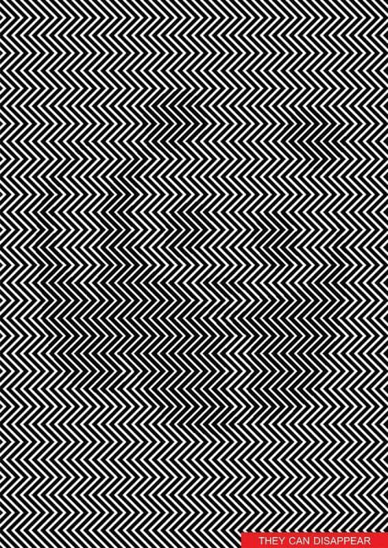 Panda Optical Illusion Picture 566 x 800 Picture