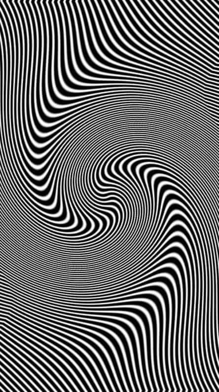 Twisted Black And White Optical Illusion Picture 444 x 794 Picture