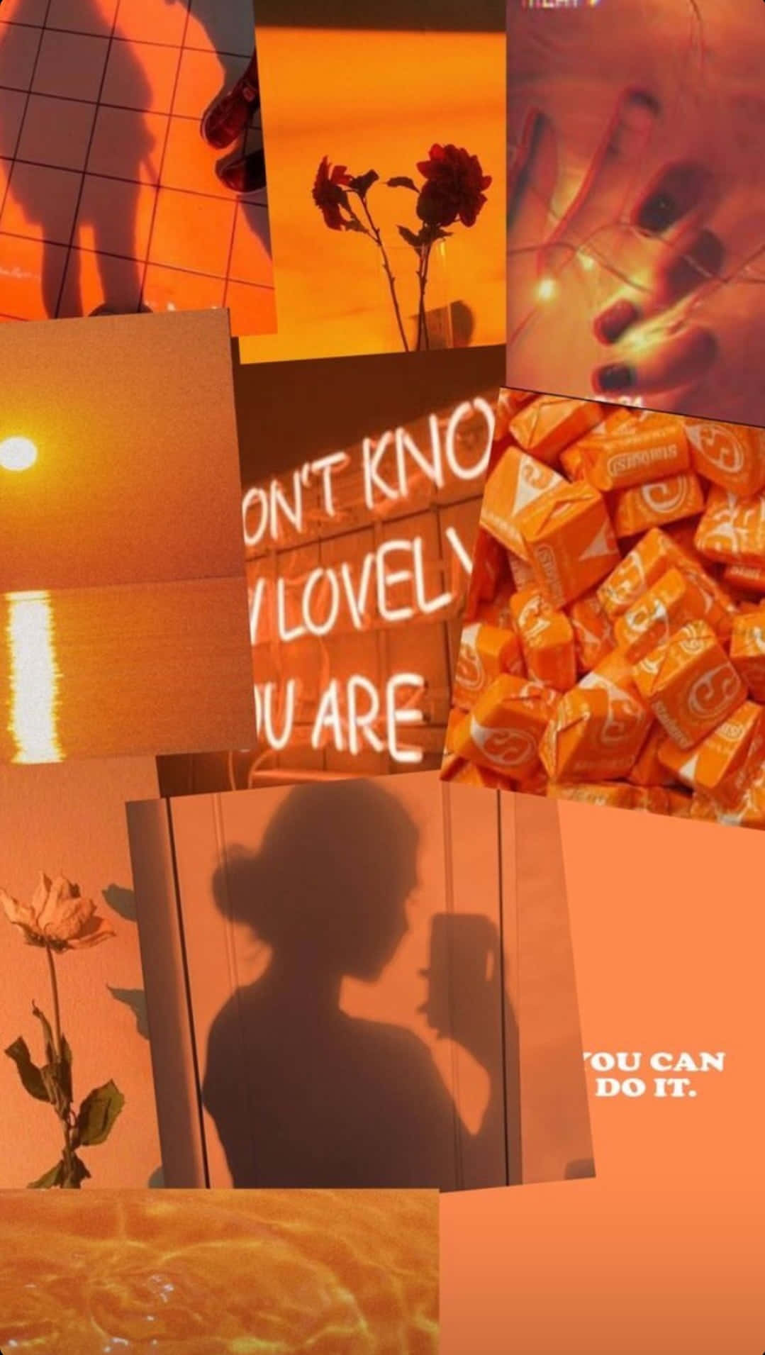 Get the positive energy you need with the inspiring Orange Aesthetic