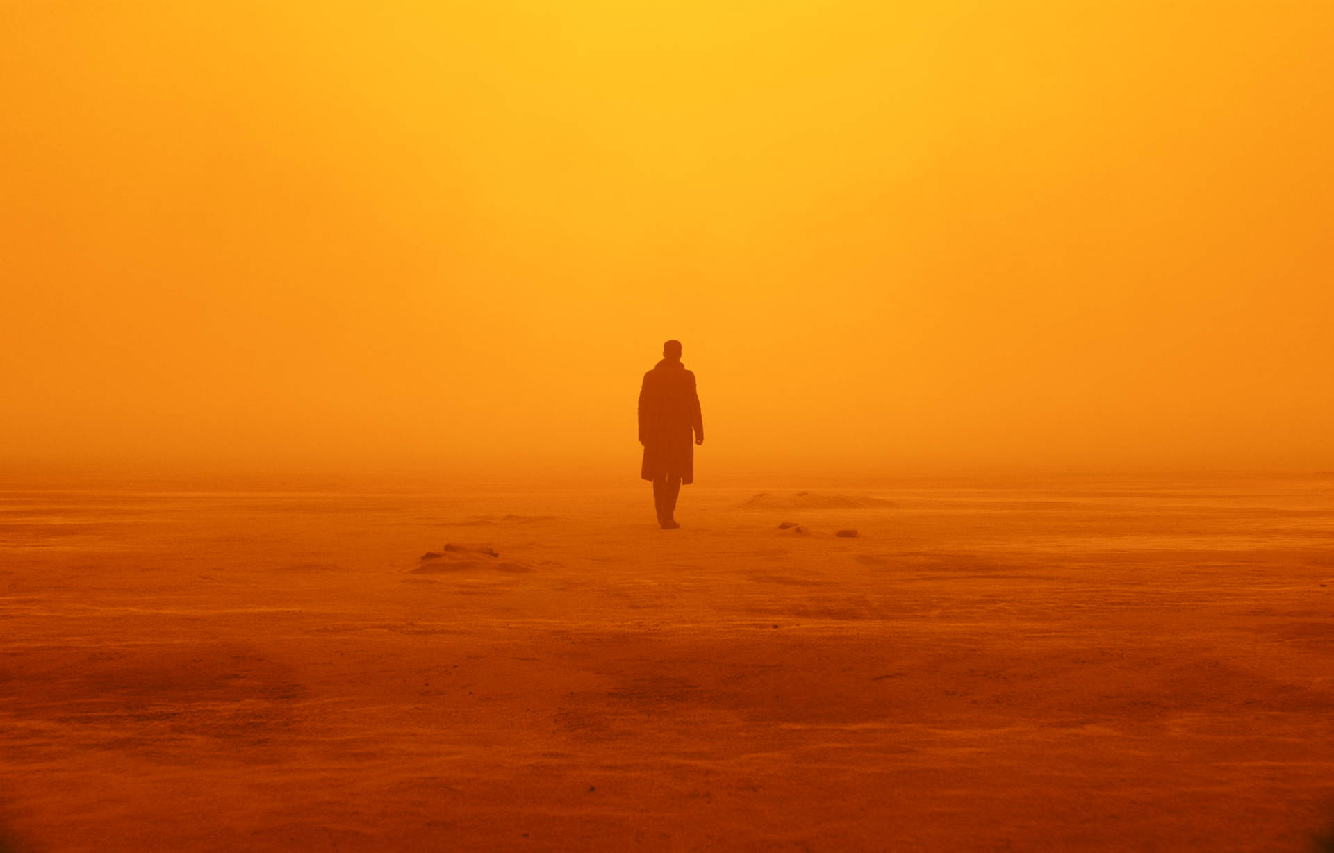 Orangeästhetik Blade Runner 2049 4k Wallpaper