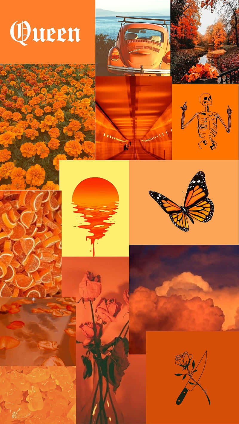 Einecollage Aus Orangefarbenen Bildern Mit Dem Wort 