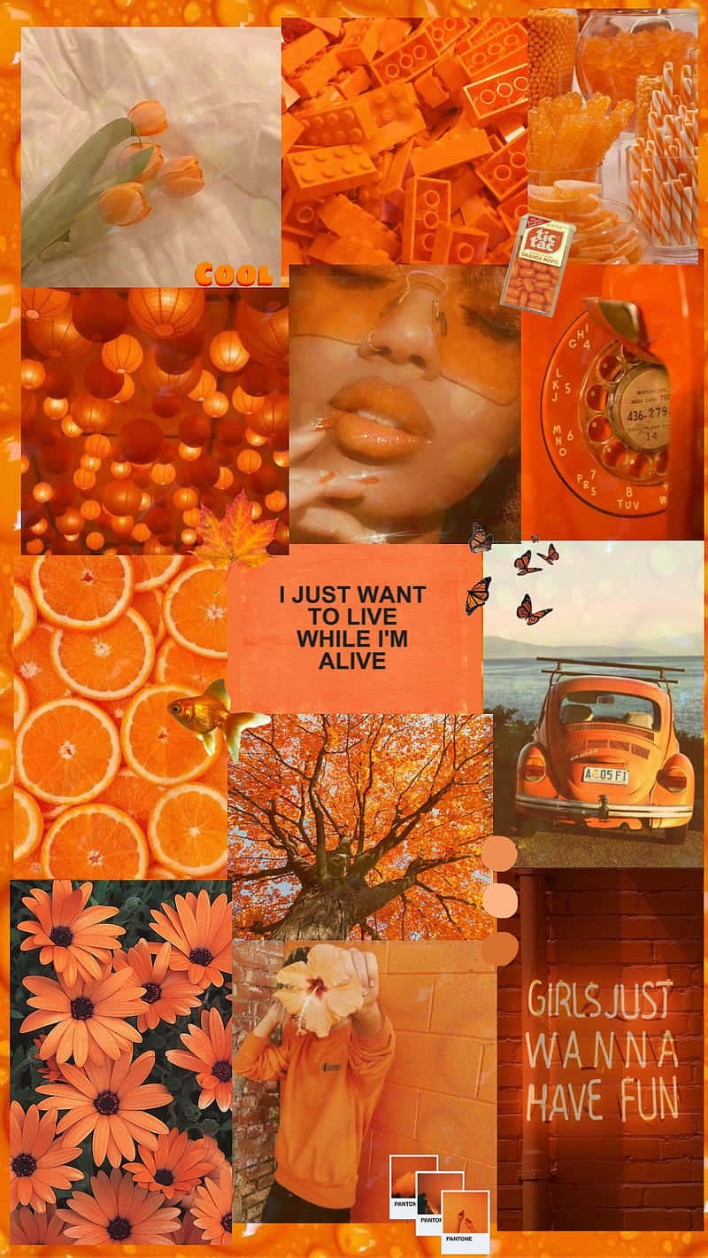 Einecollage Aus Orangefarbenen Bildern Und Fotos. Wallpaper