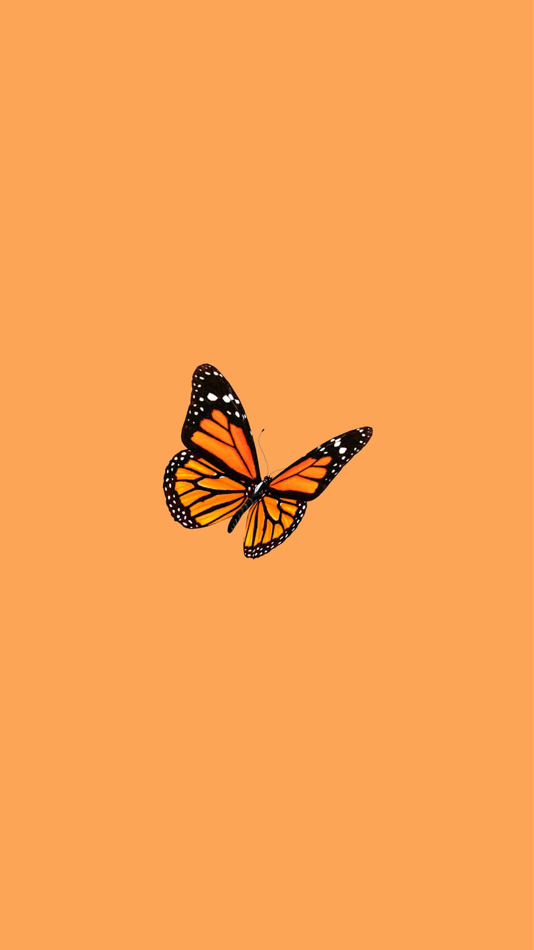 Butterfly Sticker Orange Aesthetic Phone Wallpaper