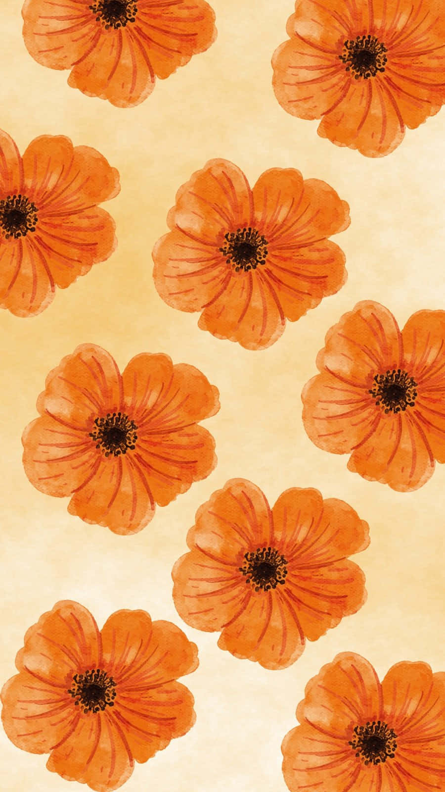 Orange Flower iPhone Wallpapers on WallpaperDog