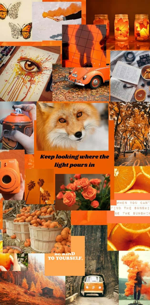 Fall Season Orange Aesthetic Phone Wallpaper