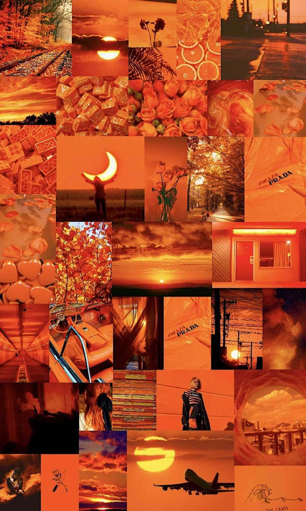 Let The Orange Aesthetic Take Over Your Life. Wallpaper