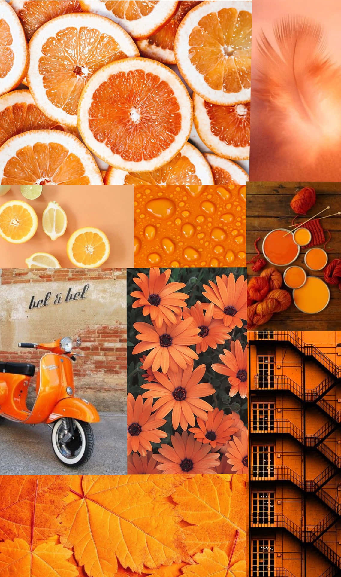 Hellensie Den Tag Mit Einem Orangenen Ästhetik Auf
