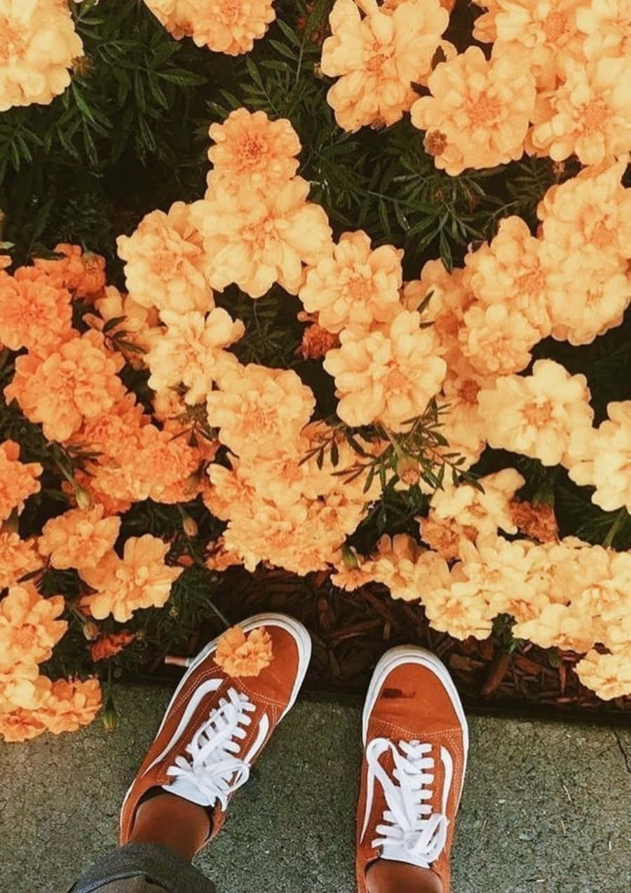 Orange Sneakers In Front Of Flowers
