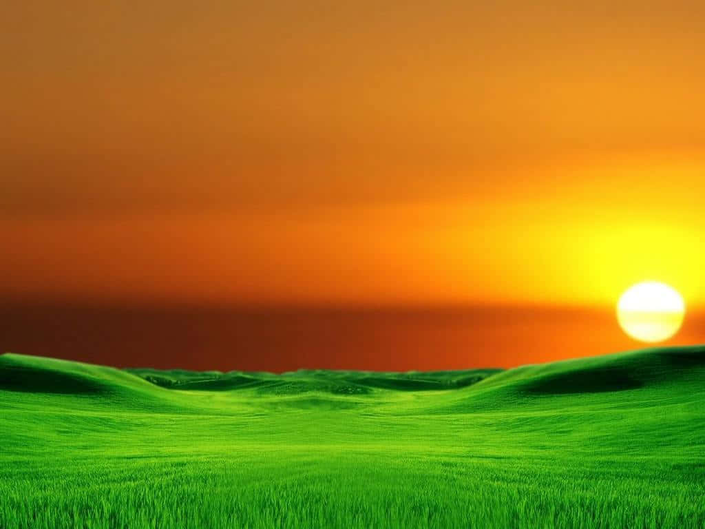 Orange And Green Background