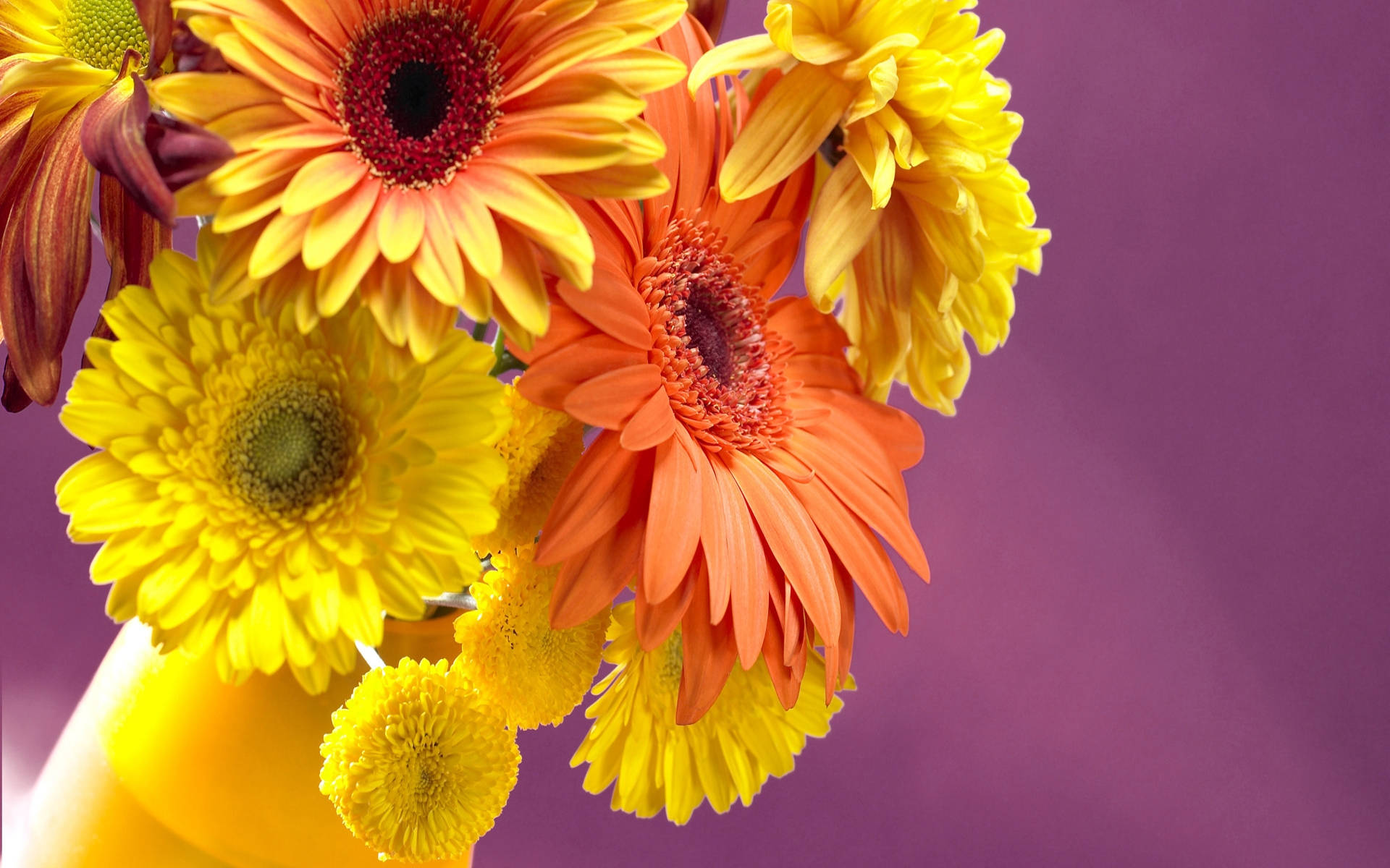 Ramode Flores De Color Naranja Y Amarillo. Fondo de pantalla