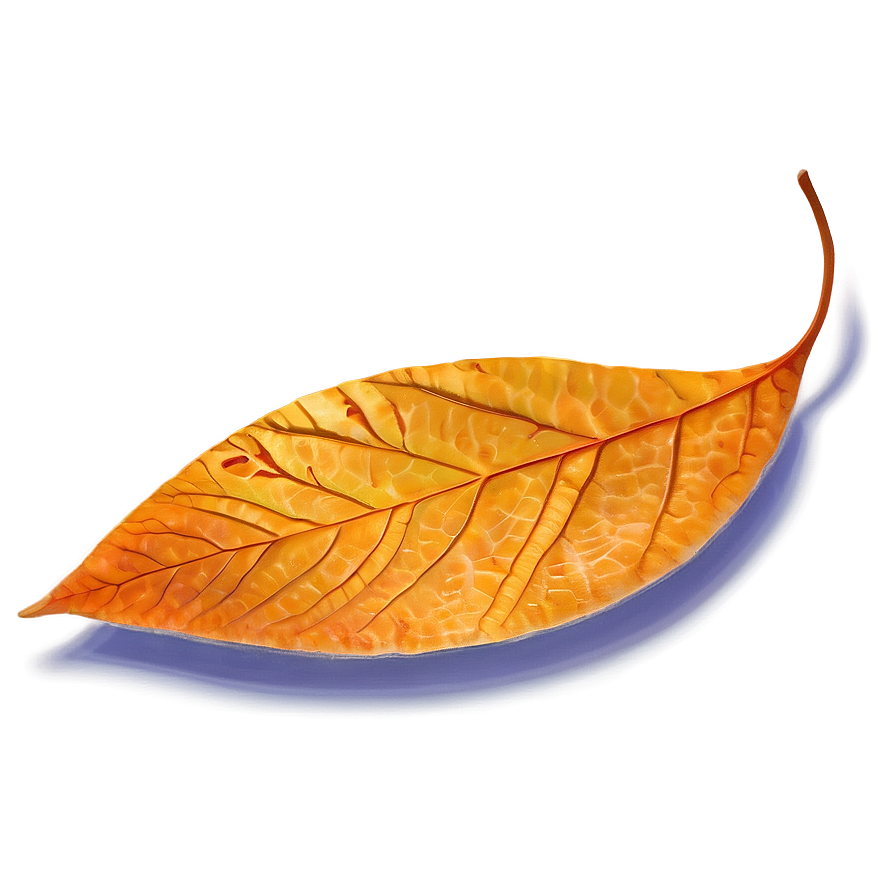 Orange Autumn Leaf Png 05252024 PNG