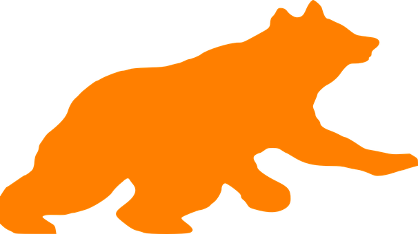Orange Bear Silhouetteon Black Background PNG