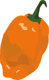 Orange Bell Pepper Illustration PNG