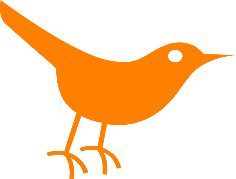 Orange Bird Silhouette PNG